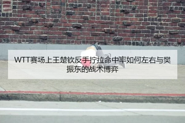 sai-chang-shang-wang-chu-qin-fan-shou-ning-la-ming-zhong-lv-ru-he-zuo-you-yu-fan-zhen-dong-de-zhan-shu-bo-yi-3-729.jpg