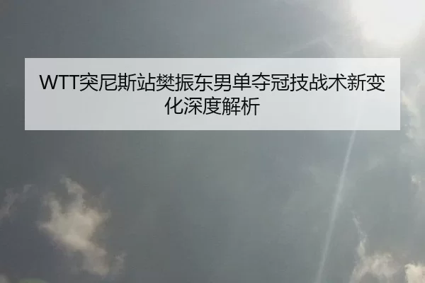 tu-ni-si-zhan-fan-zhen-dong-nan-dan-duo-guan-ji-zhan-shu-xin-bian-hua-shen-du-jie-xi-3-603.jpg