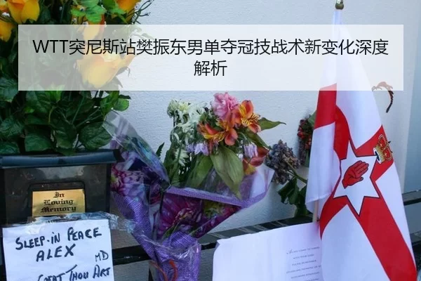 WTT突尼斯站樊振东男单夺冠技战术新变化深度解析