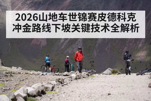 mountain bike rock garden
